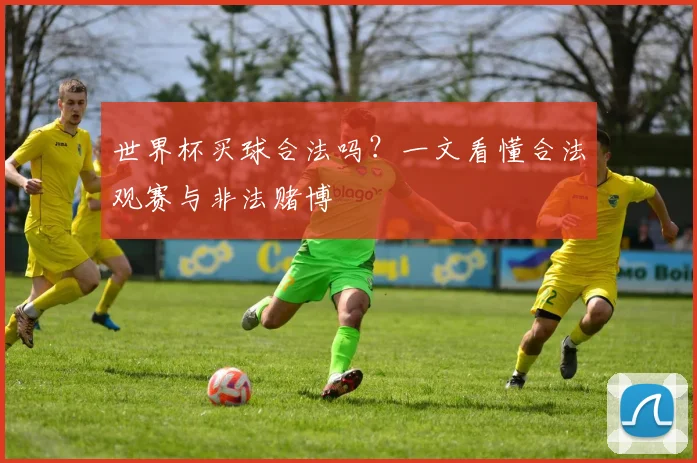 世界杯买球合法吗？一文看懂合法观赛与非法赌博