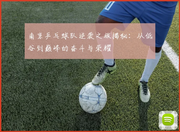 南京乒乓球队逆袭之旅揭秘:从低谷到巅峰的奋斗与荣耀