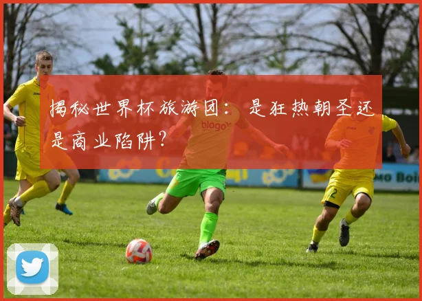 揭秘世界杯旅游团:是狂热朝圣还是商业陷阱?