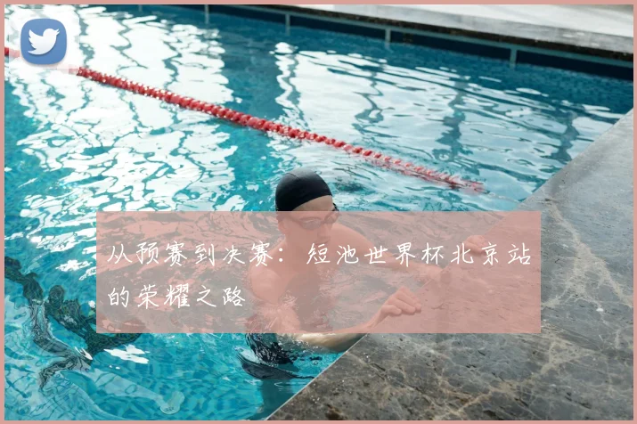 从预赛到决赛：短池世界杯北京站的荣耀之路