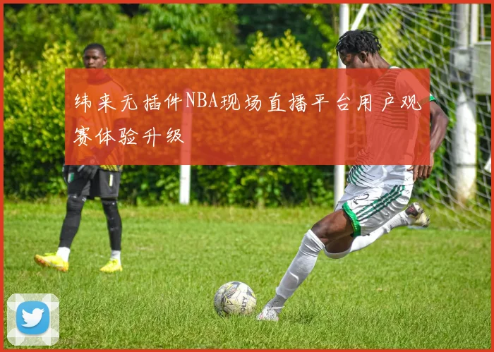 纬来无插件NBA现场直播平台用户观赛体验升级