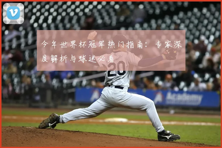 今年世界杯冠军热门指南:专家深度解析与球迷必看