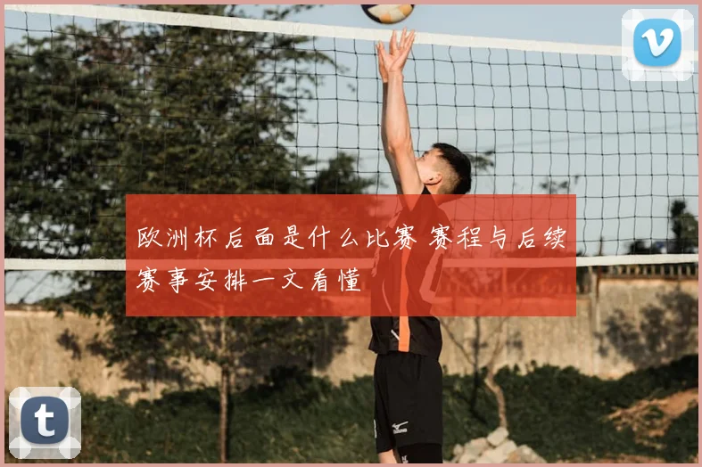 欧洲杯后面是什么比赛 赛程与后续赛事安排一文看懂