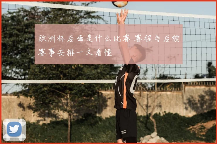 欧洲杯后面是什么比赛 赛程与后续赛事安排一文看懂