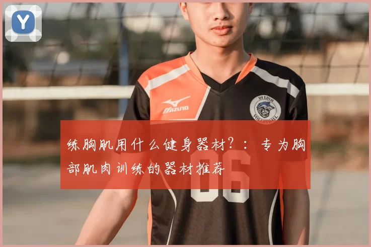 练胸肌用什么健身器材？：专为胸部肌肉训练的器材推荐