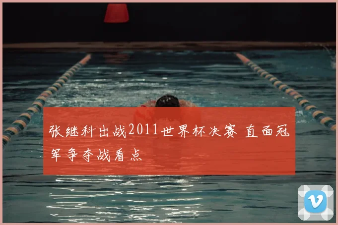 张继科出战2011世界杯决赛 直面冠军争夺战看点